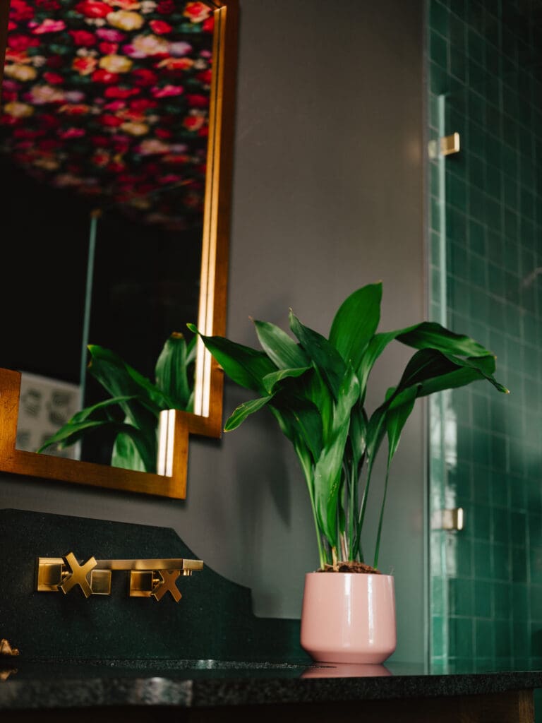 Interior entry space highlighting architectural details and natural light