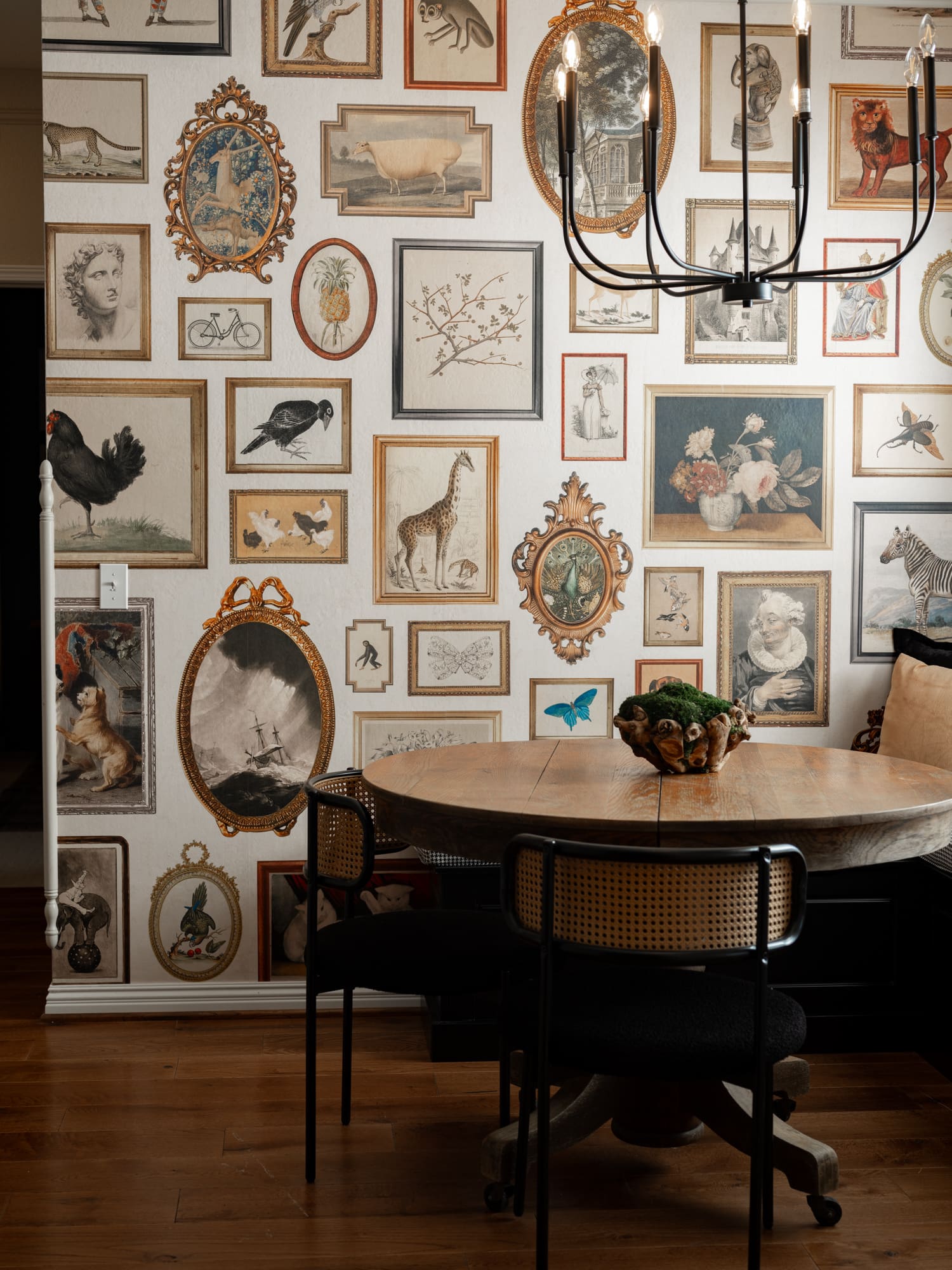 nique themed Airbnb exterior photographed in Rogers AR